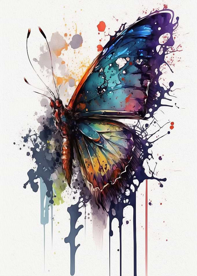 Butterfly