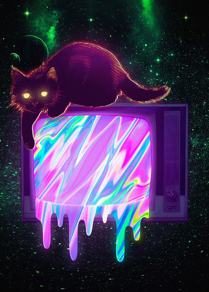 Cat on a Television