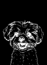 dog face black white