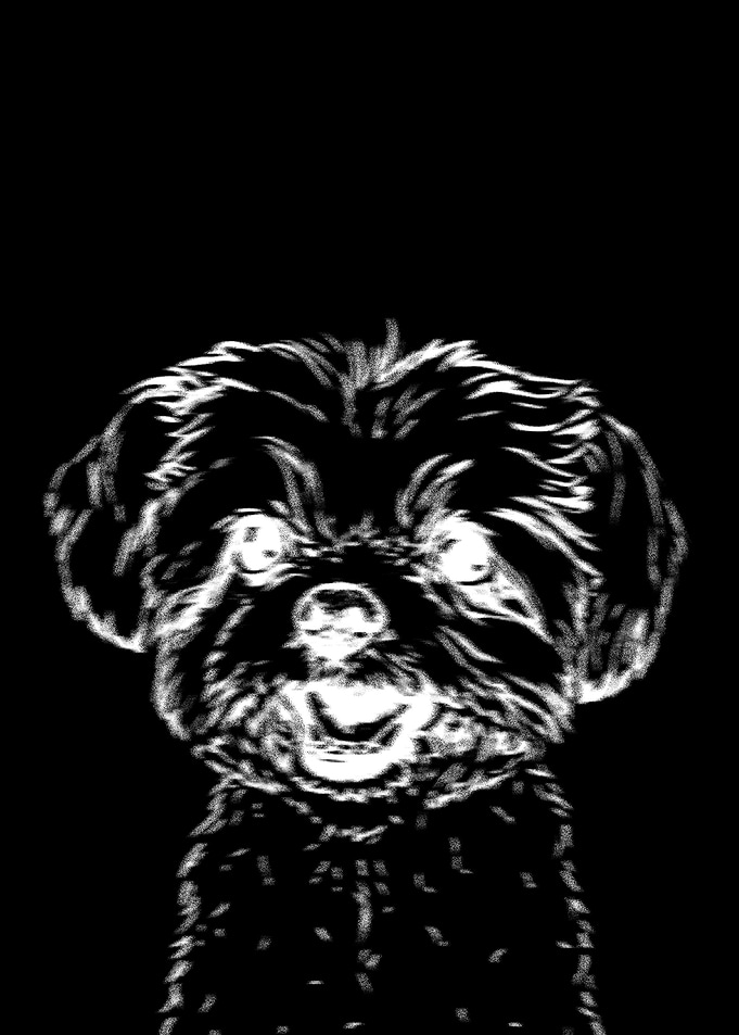 dog face black white