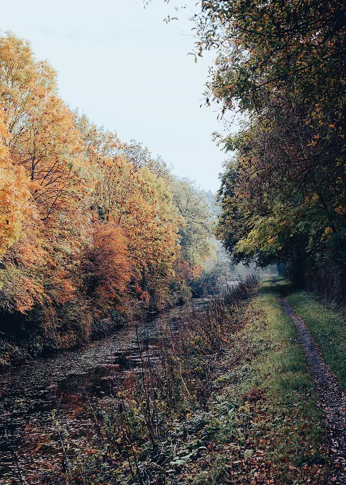 Autumn on the Canal