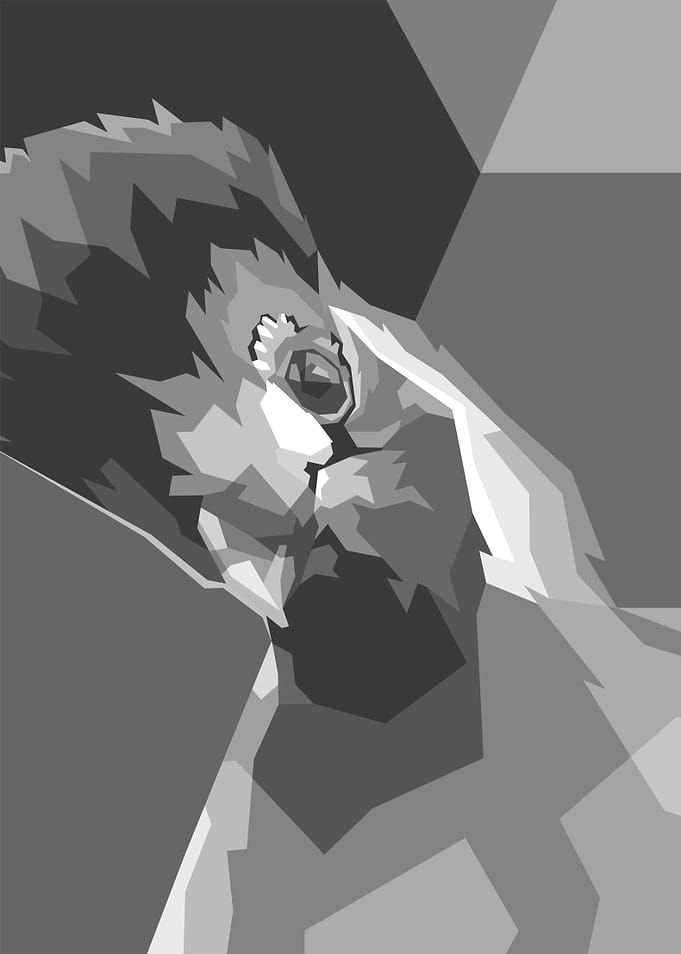 Frizzy hair Bird Gray WPAP