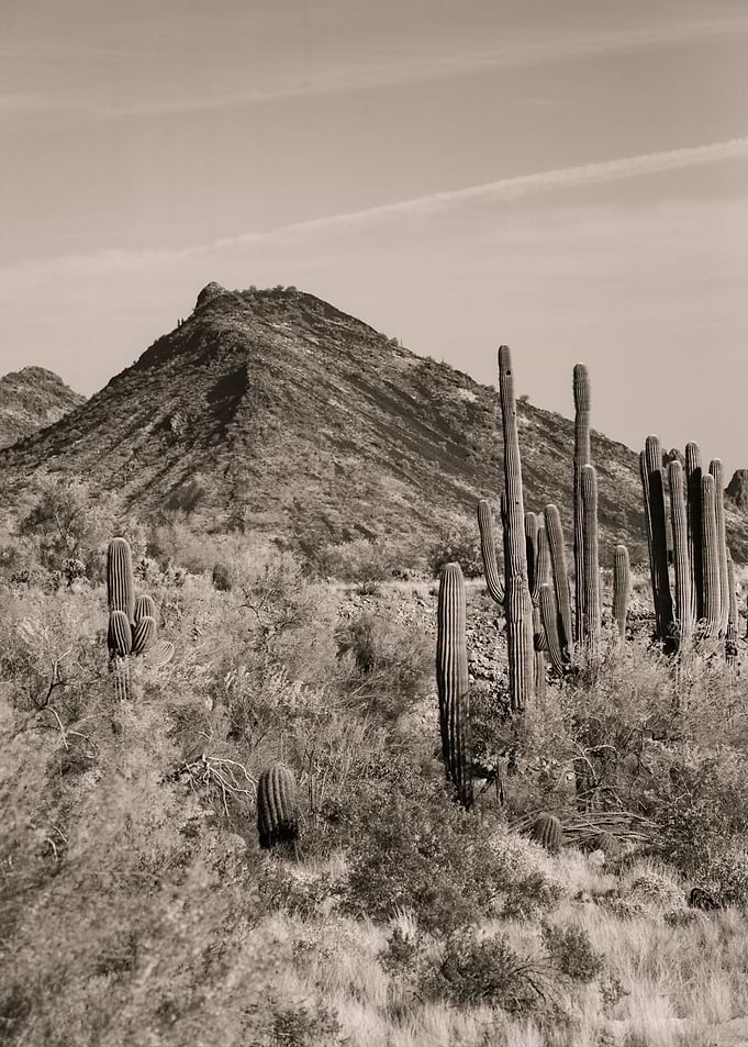 great desert