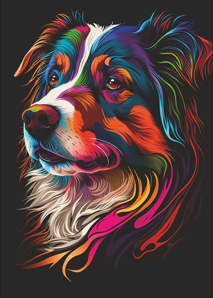 My Australian Shepherd