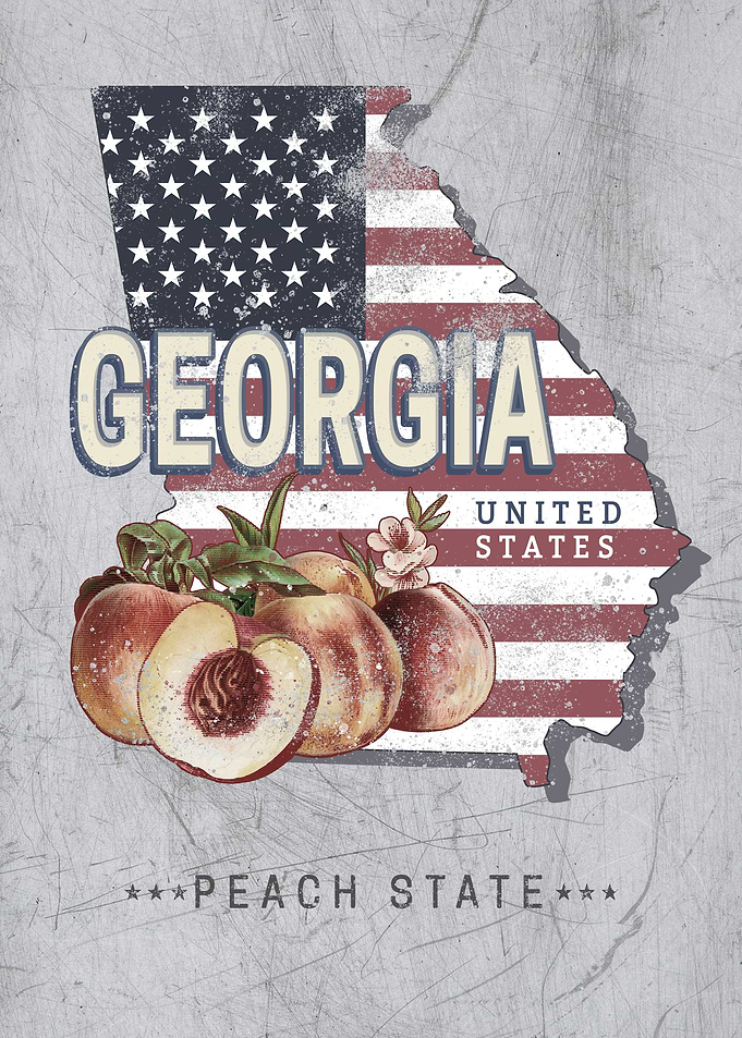 Georgia Map United States