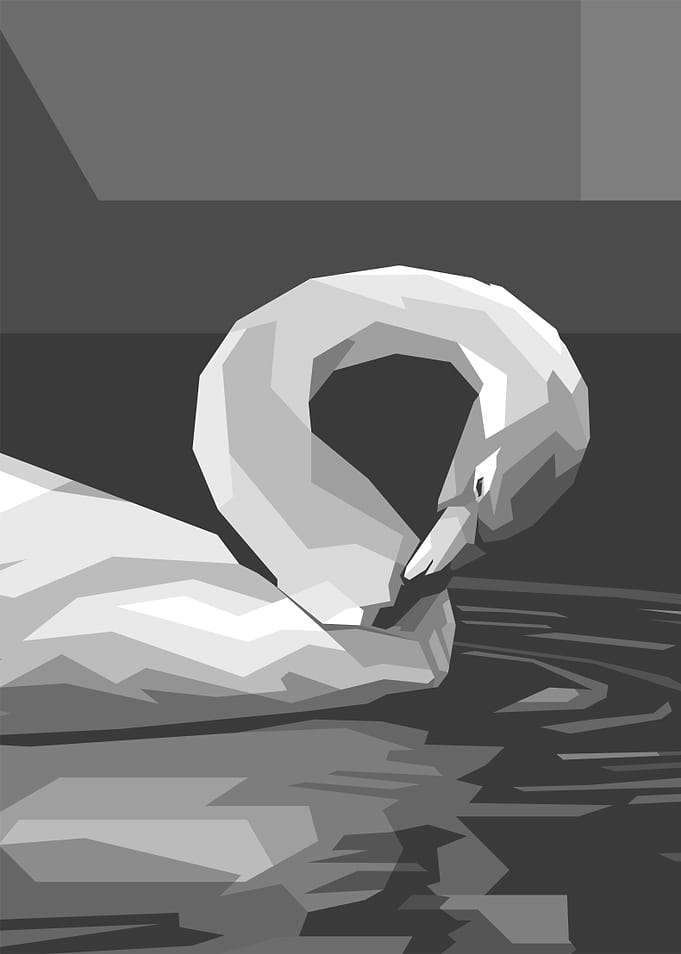 Wings Goose Gray