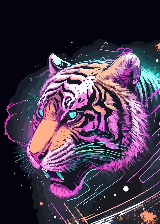 Tiger Galaxy