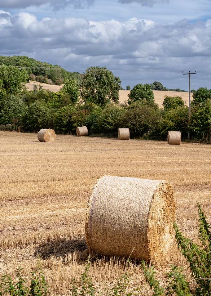 Hay Bales on the Farm