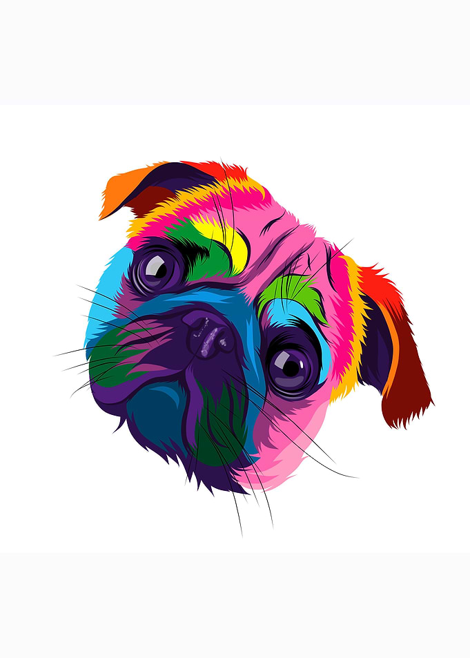 Abstract pug head portrait