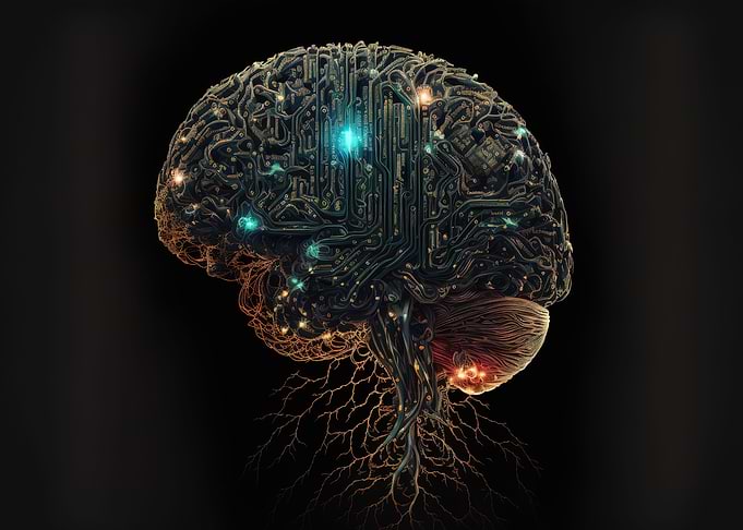 Human Brain