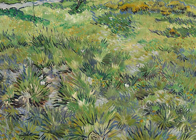Long Grass Van Gogh