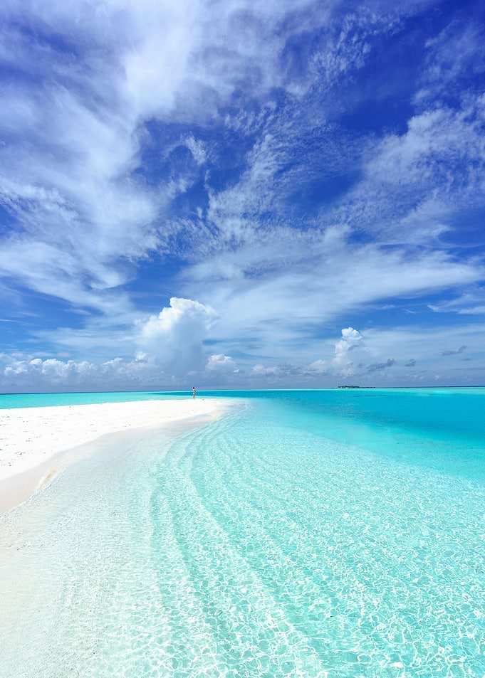 Tropical Beach