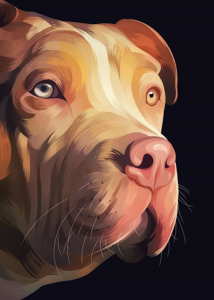 Dog 2