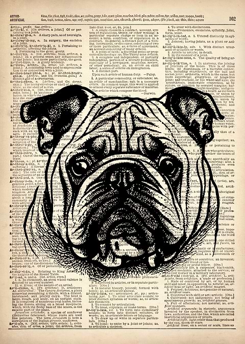 Bulldog line drawing