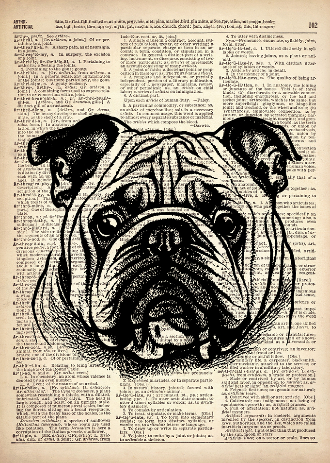 Bulldog line drawing