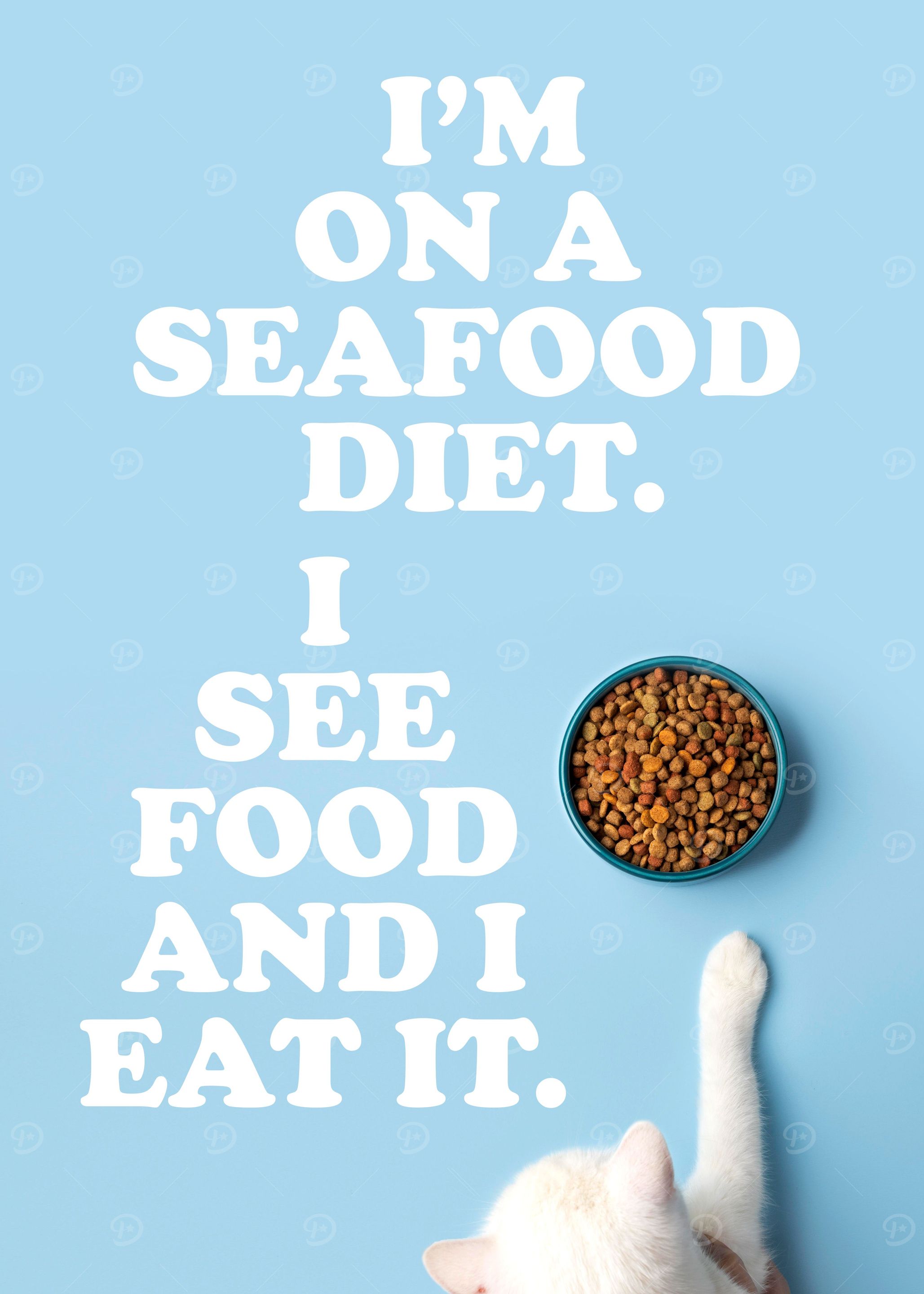 Cat Cute Funny Diet Quote