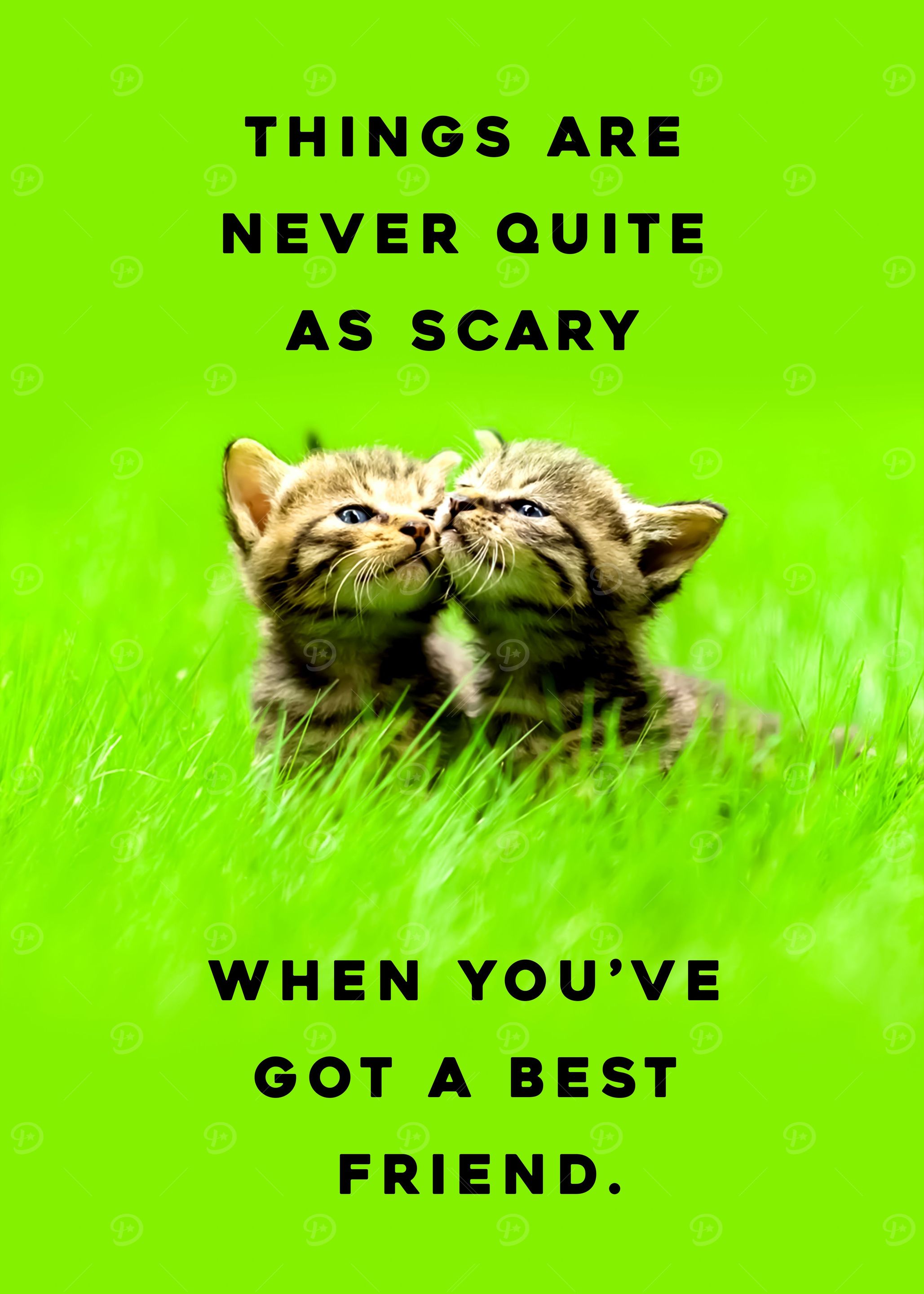 Cat Quotes About Friends