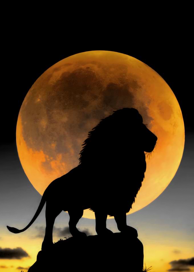 Aslan Narnia