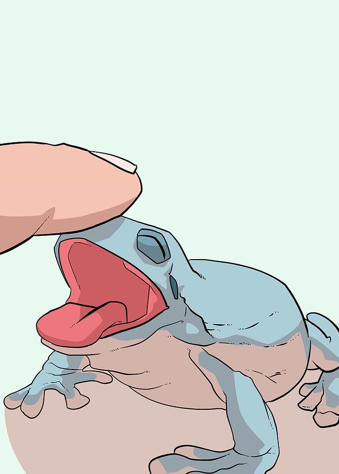 petting dumpy frog