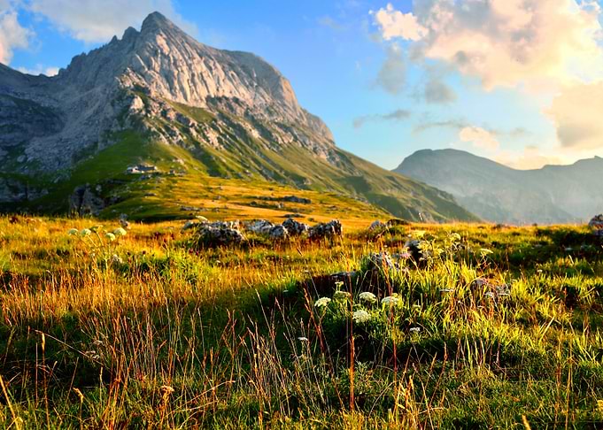 MOUNTAIN