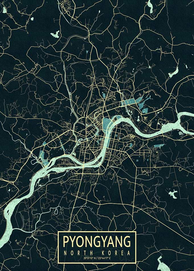 Pyongyang City Map Summer