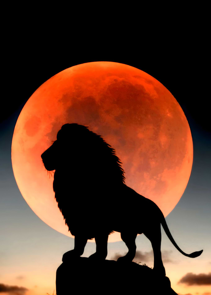 the king lion