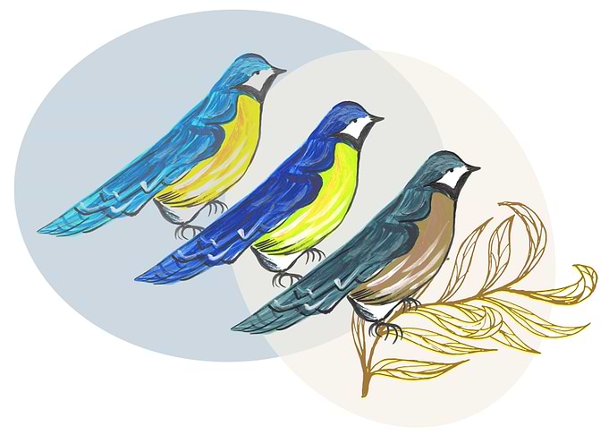 Three Birds