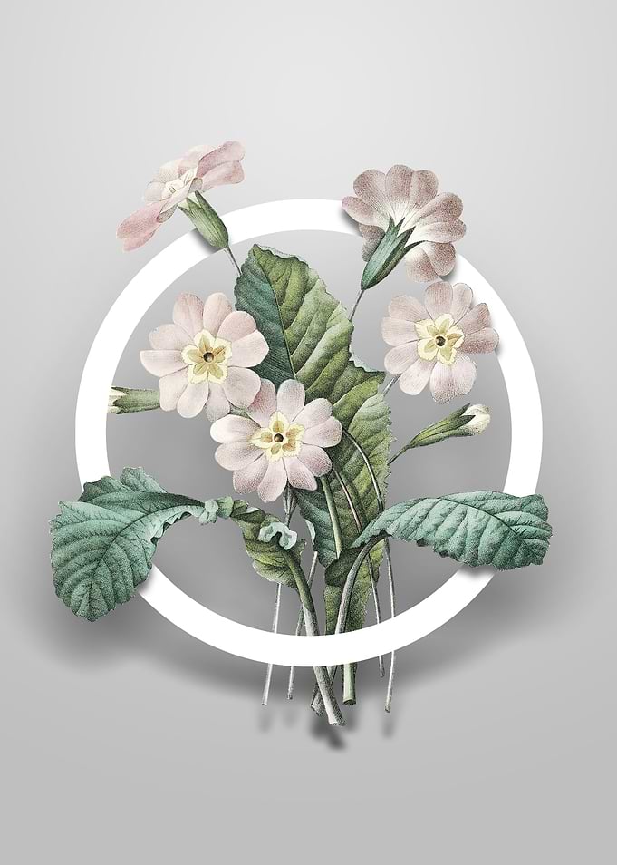 Vintage Grandiflora Flower