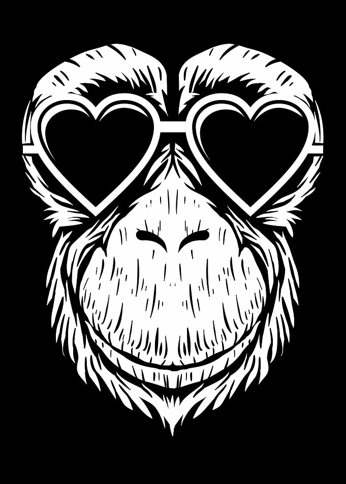 Chimpanzee love eyeglasses