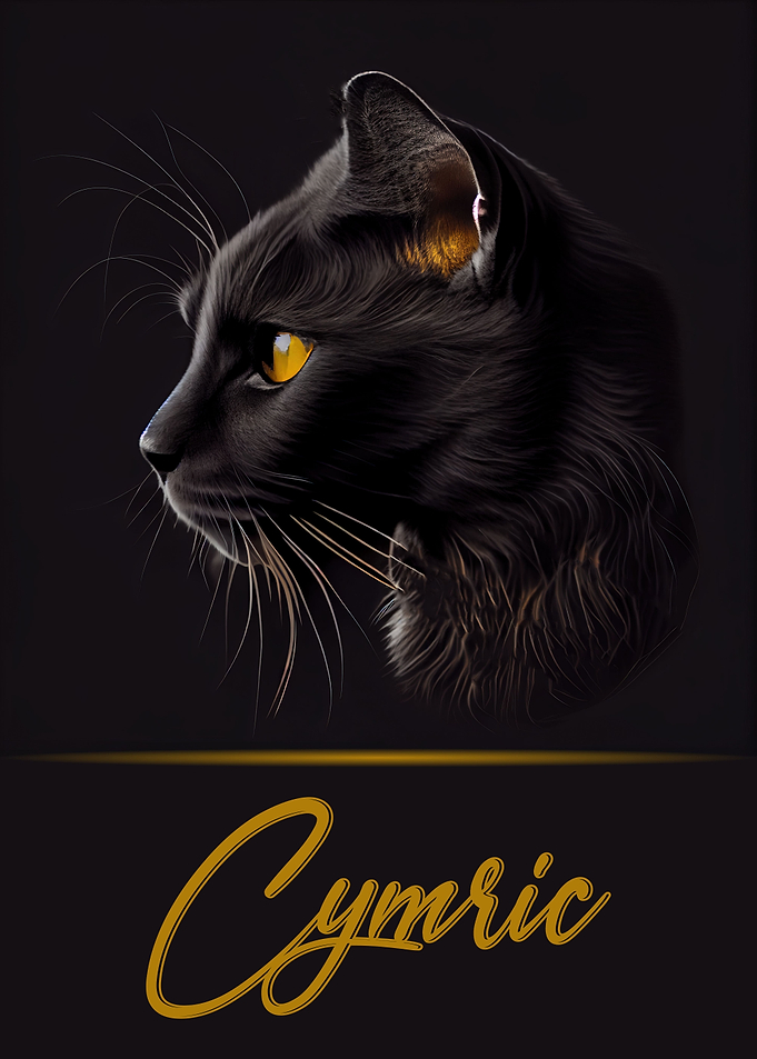 Adorable Cymric