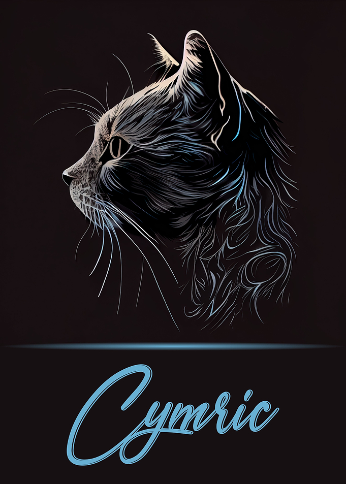 Elegant Cymric