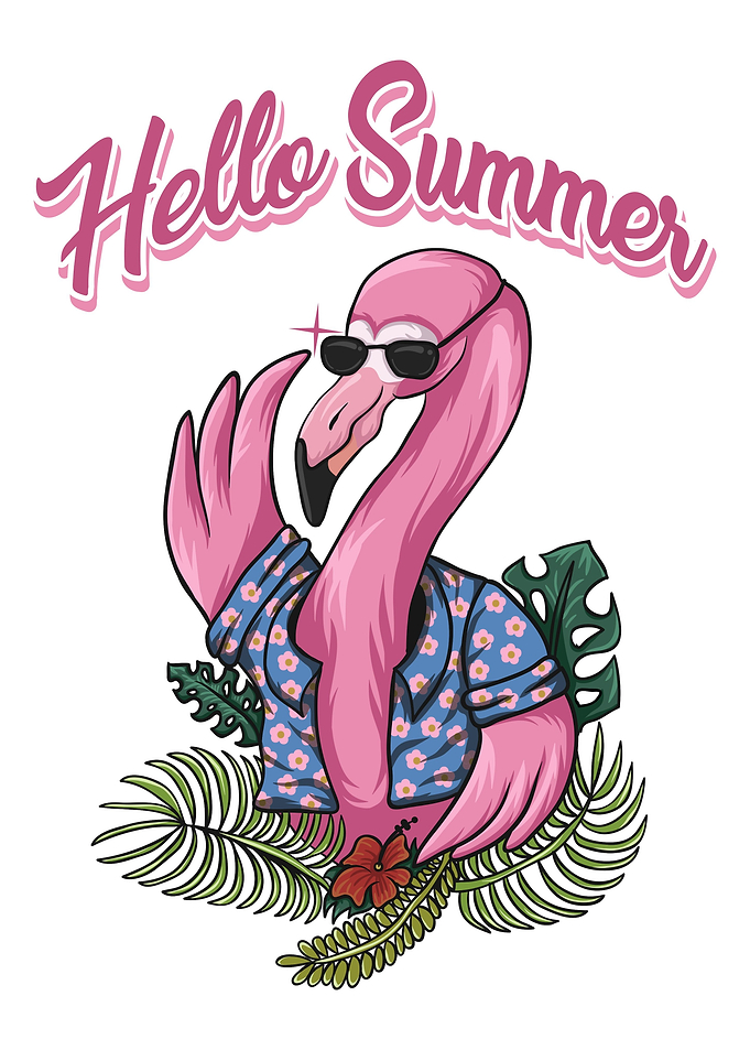 Flamingo bird summer