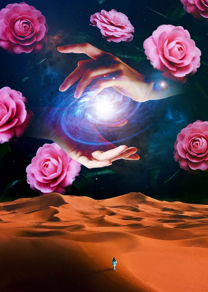 Journey of the Cosmos