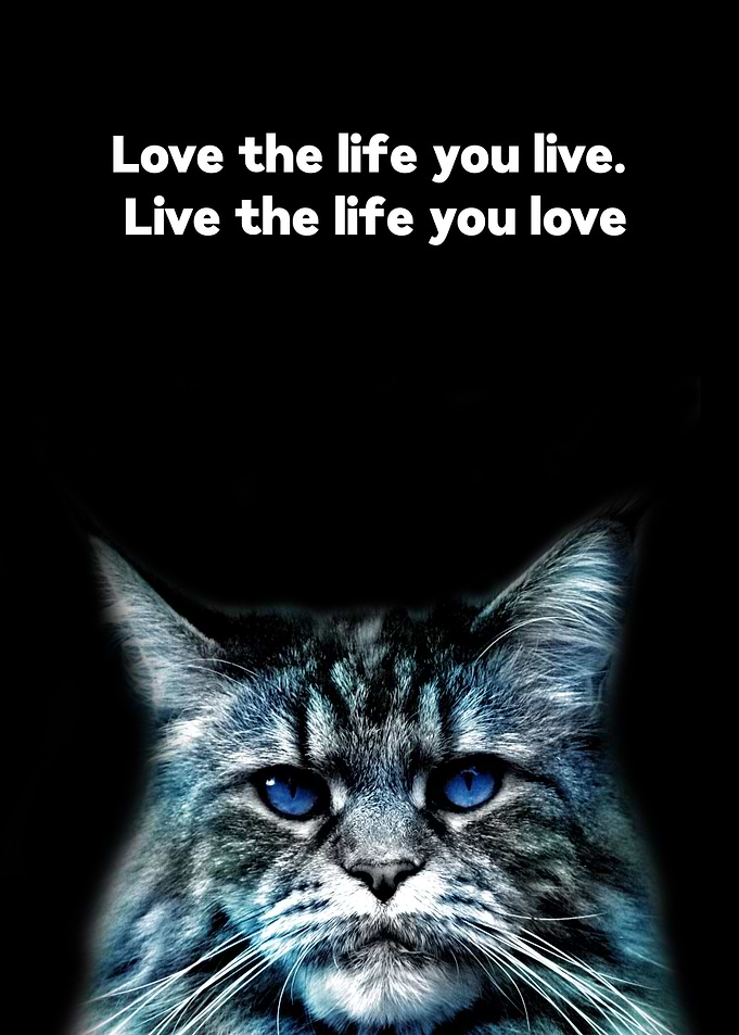 motivational quotes