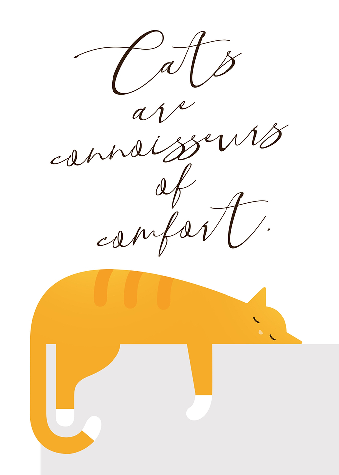 Funny Cat Quotes Short