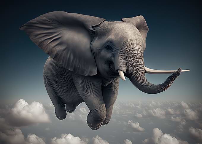 Elephant Flying Animal