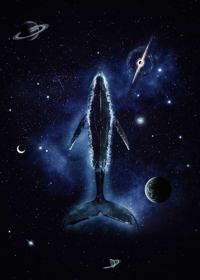 Blue Whale Spatial Ocean
