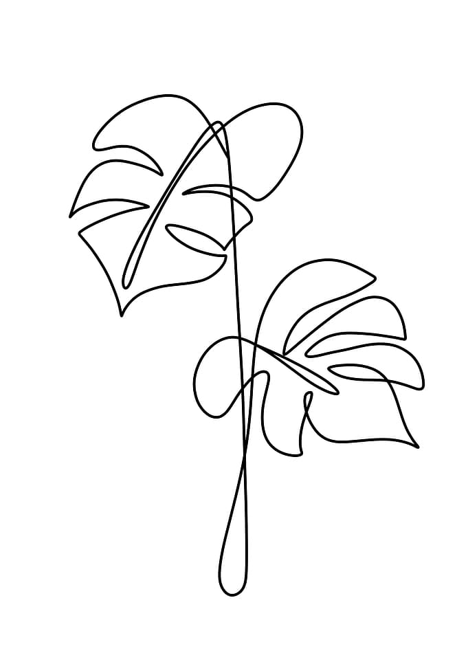 Nature line art