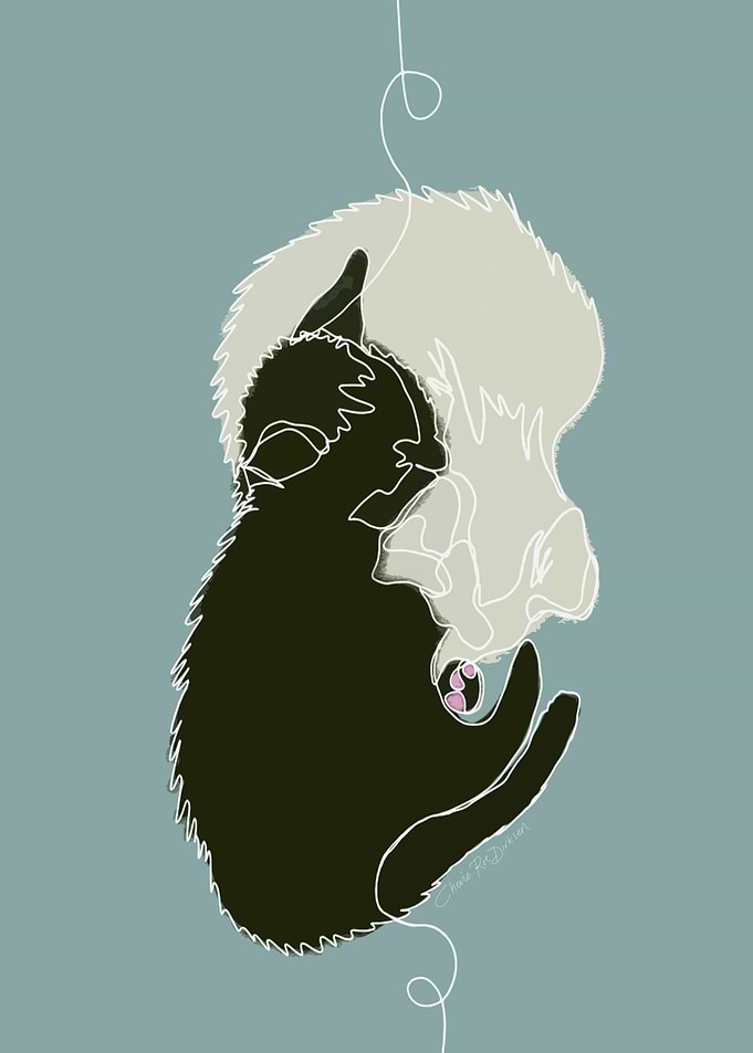 Yin Yang Kittens