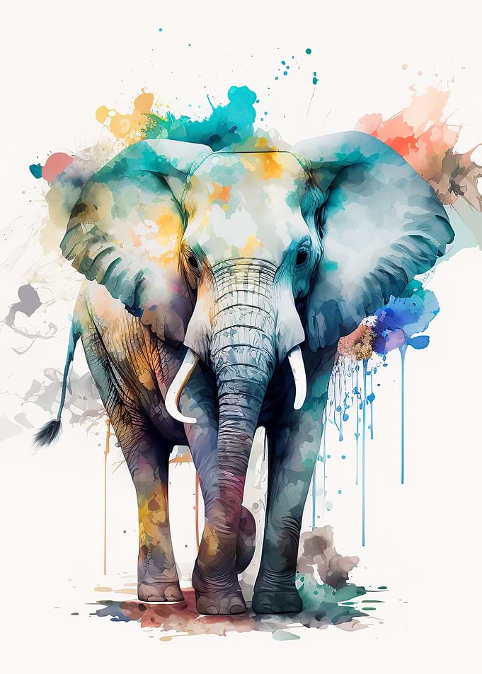 Elephant Animal