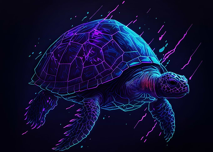 The Swimming Tortoise