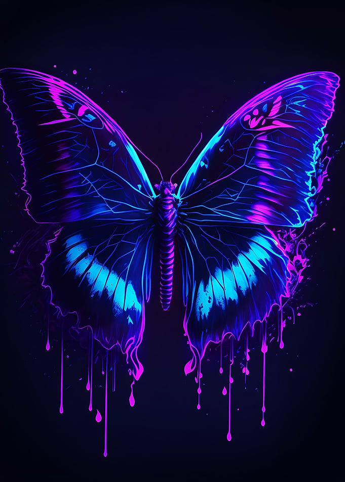 The Butterfly