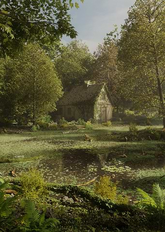 House in the swamp