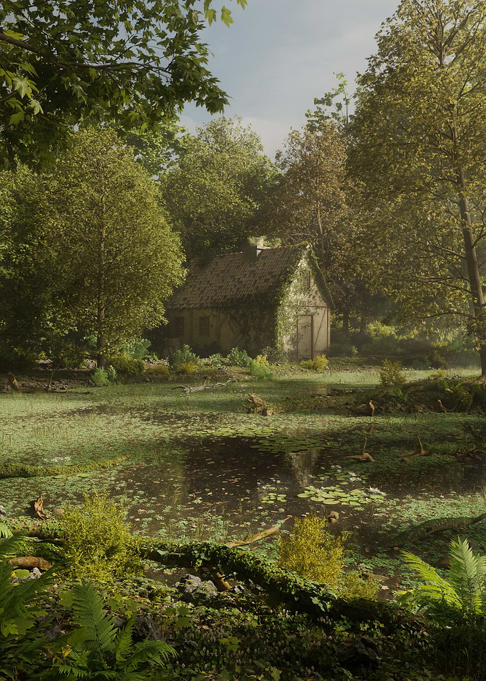 House in the swamp