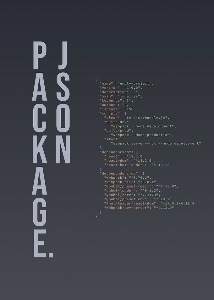 Package Json Config NPM