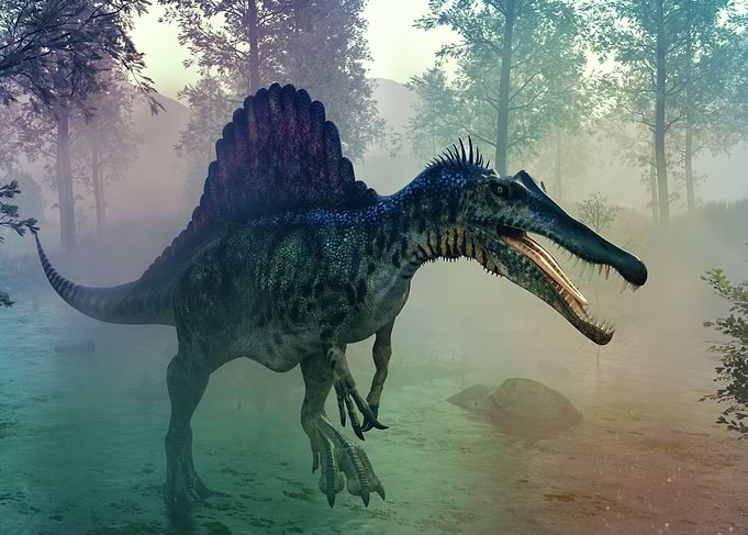 Spinosaurus dinosaur