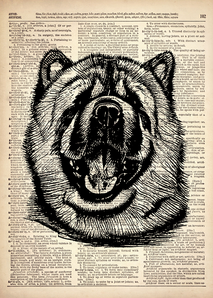Chow Chow Dog line drawing