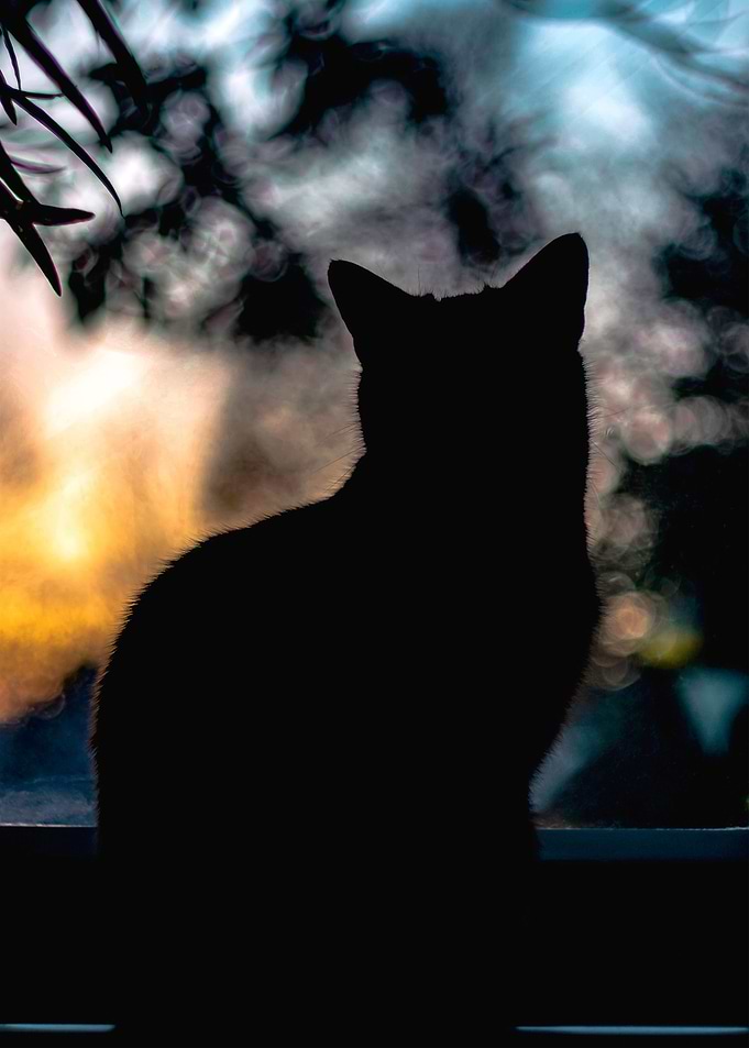 the outside world