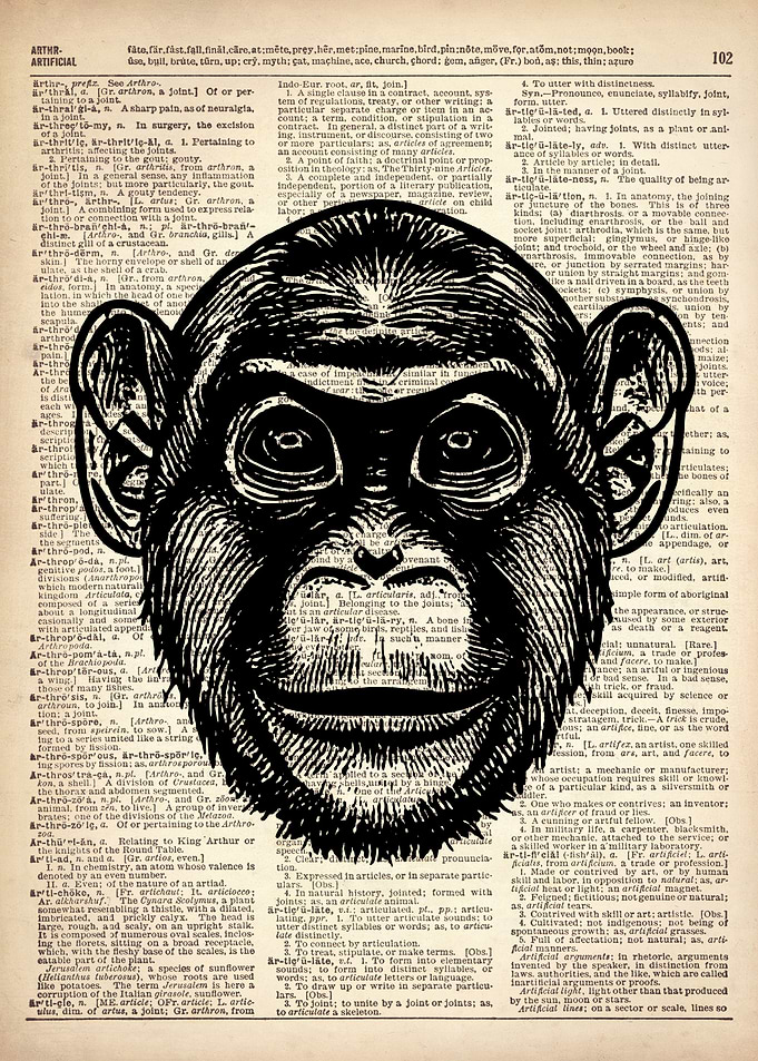 Monkey art on dictionary