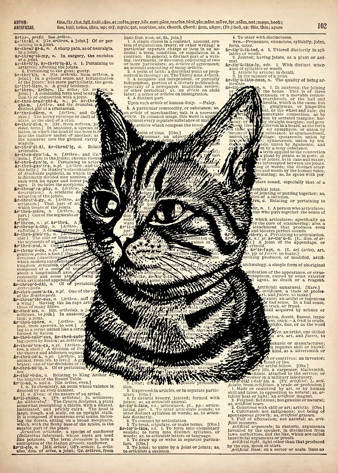 Cat line drawing black